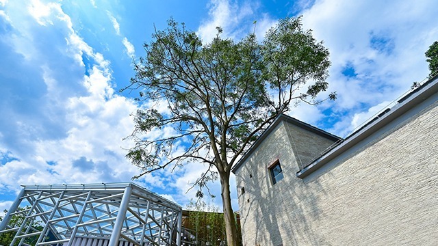 贵州绿博园场馆选用锦埴软瓷做为外饰面材料