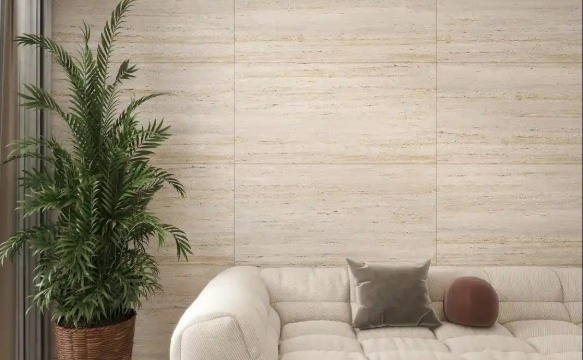 微信图片_20250220113146