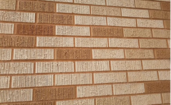 微信图片_20250226104338