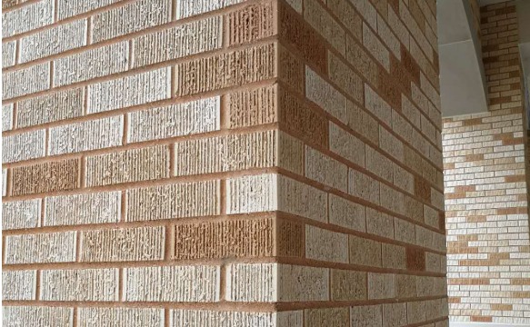 微信图片_20250226104342