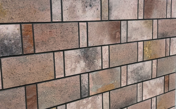 微信图片_20250328100036