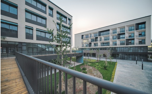 软瓷组合砖案例