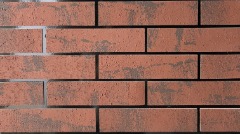 软瓷陶土砖定制