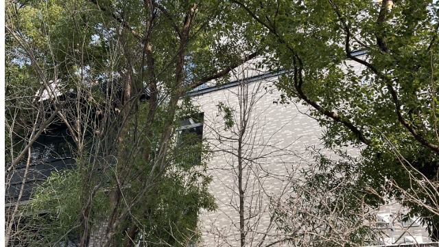 南京莫愁湖小学扩建选用锦埴软瓷做为外饰面材料